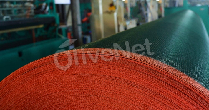 New Olive collection net