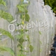Εντομοστεγή δίχτυα Olivenet Fanourakis