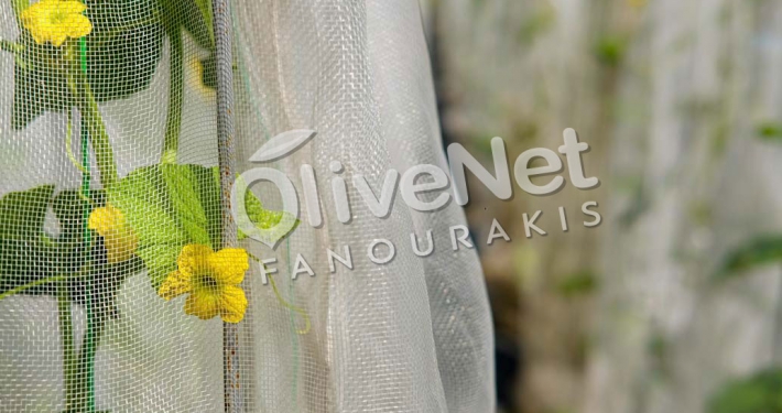 Εντομοστεγή δίχτυα Olivenet Fanourakis