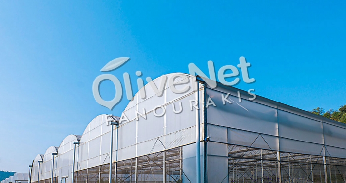 Εντομοστεγή δίχτυα Olivenet Fanourakis