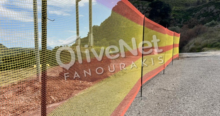 Δίχτυ Οδικής Προστασίας
