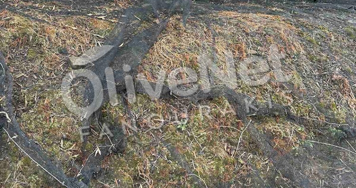 δίχτυα ελαιοσυλλογής μόνιμης στρώσης
